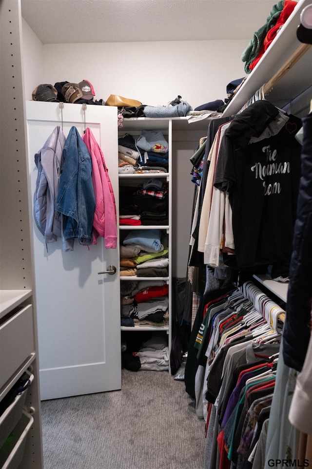spacious closet with carpet flooring