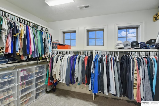 spacious closet with carpet flooring and visible vents