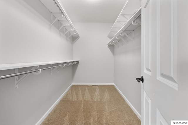 walk in closet featuring carpet flooring