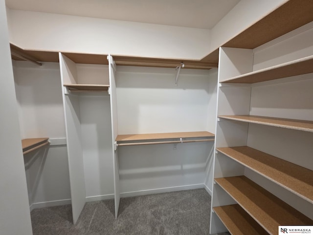 spacious closet featuring carpet