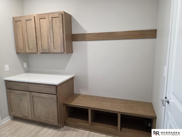 mudroom with light wood-type flooring