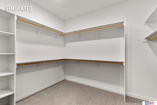 walk in closet with carpet flooring