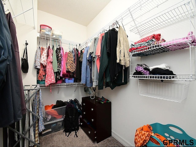 spacious closet featuring carpet floors