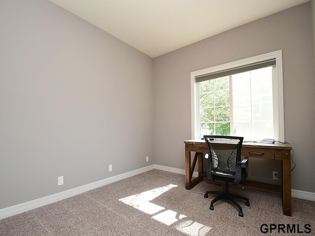 office space featuring baseboards and carpet flooring