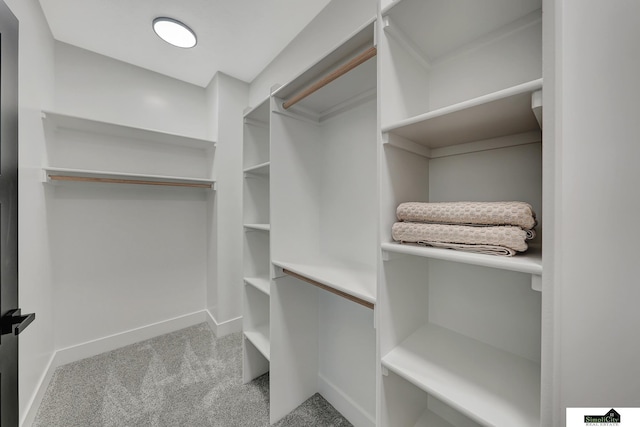 spacious closet with carpet floors