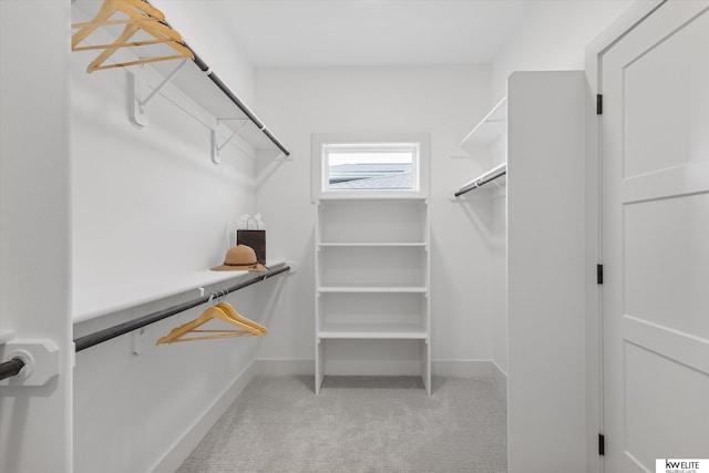 spacious closet featuring light colored carpet