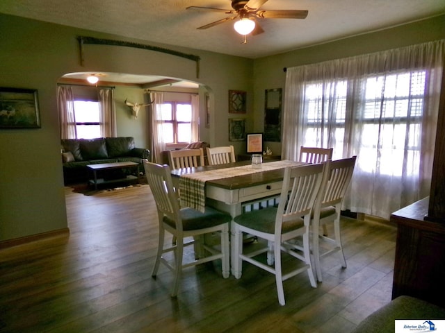 dining space with arched walkways, a ceiling fan, and wood finished floors