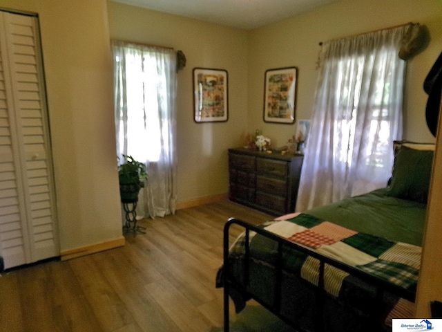 bedroom featuring baseboards, multiple windows, and wood finished floors