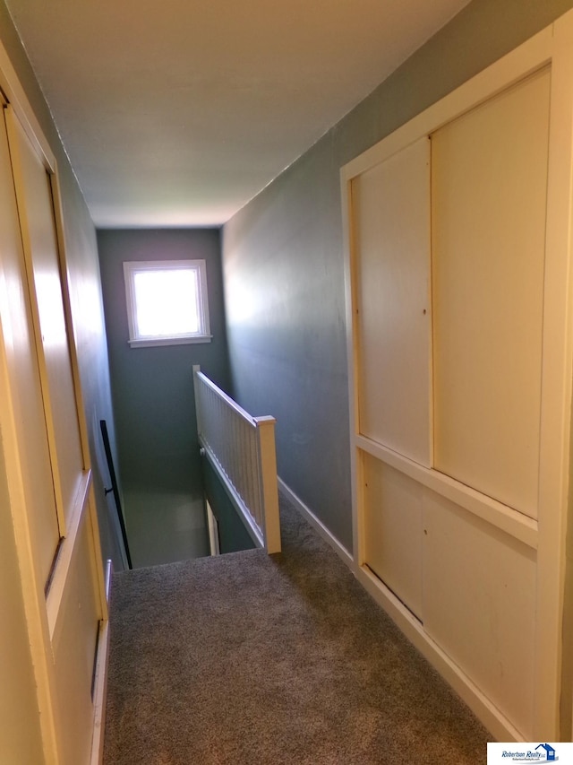 staircase with carpet flooring