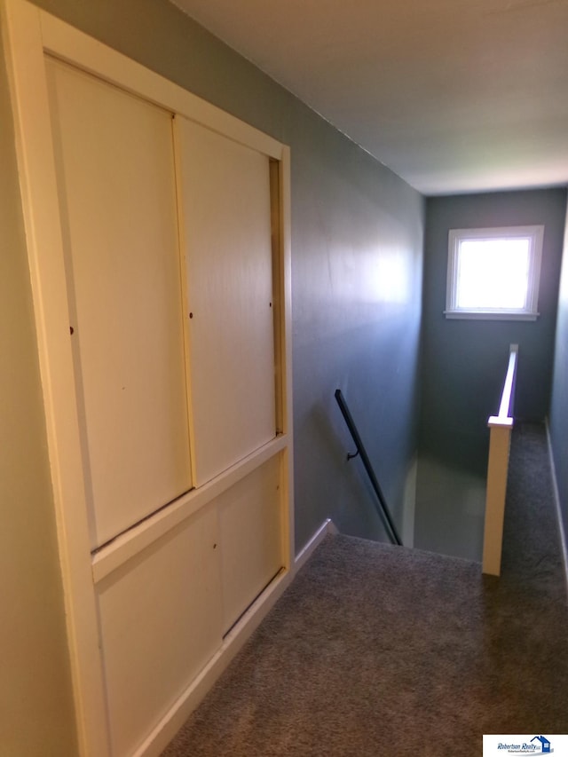 stairway featuring carpet floors