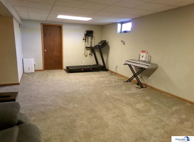 workout room featuring baseboards, carpet flooring, and a paneled ceiling