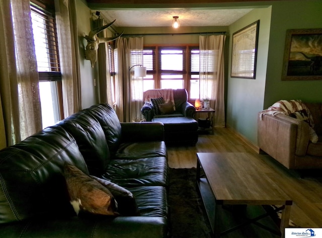 living room featuring baseboards, a wealth of natural light, and wood finished floors