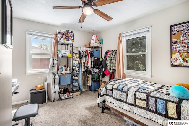 4230 N 11th St, Lincoln, NE 68521 - bedroom featuring carpet floors and ceiling fan