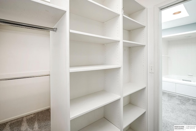 walk in closet with carpet