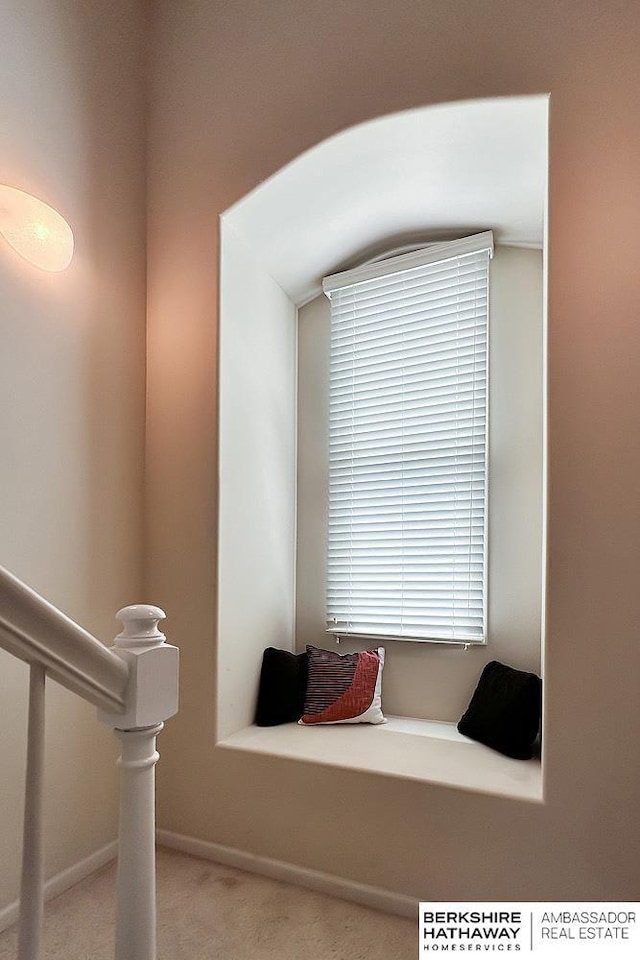 details with carpet flooring and baseboards