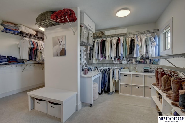 walk in closet featuring light colored carpet