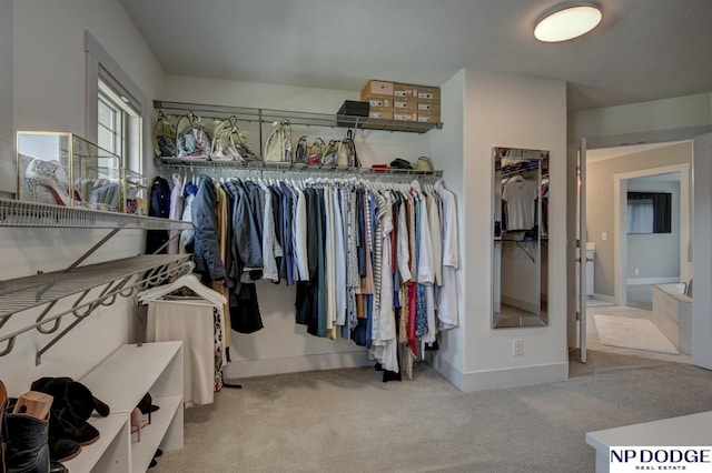 spacious closet featuring carpet