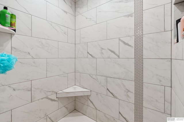 17026 Emma St, Bennington, NE 68007 - bathroom featuring tiled shower