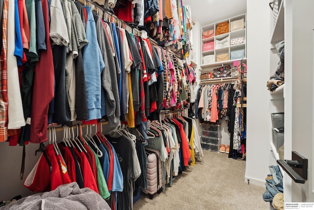 17026 Emma St, Bennington, NE 68007 - spacious closet with carpet floors