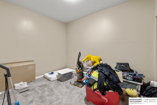 109 W Elk St, Hooper, NE 68031 - miscellaneous room with carpet floors