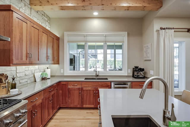 kitchen featuring a sink, light wood-style flooring, dishwasher, and a wealth of natural light