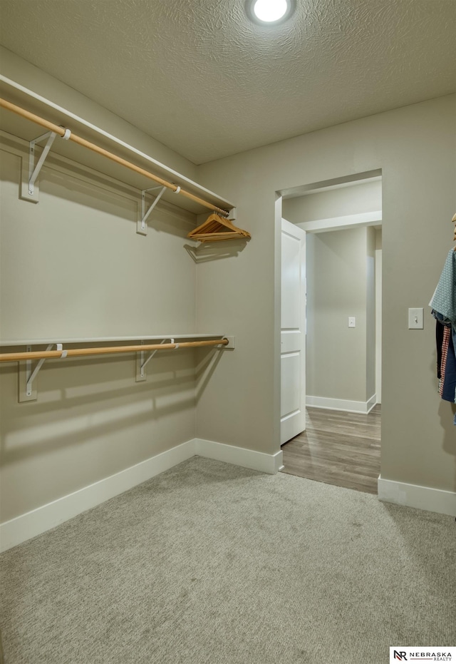 spacious closet with carpet