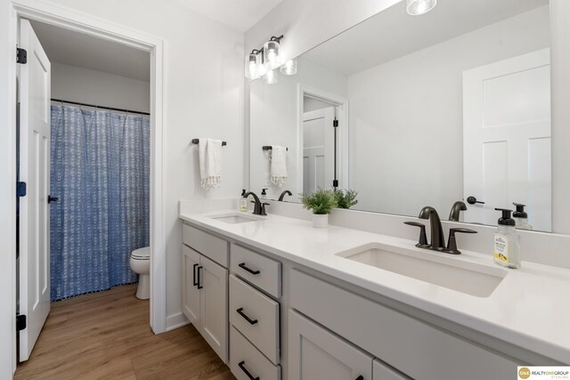full bathroom featuring double vanity, a sink, wood finished floors, and toilet