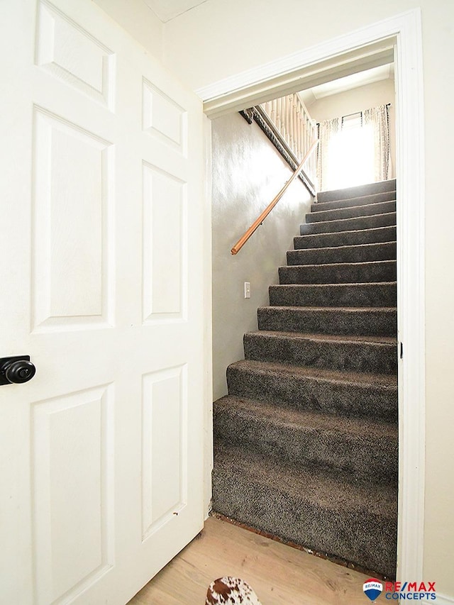 stairs featuring wood finished floors