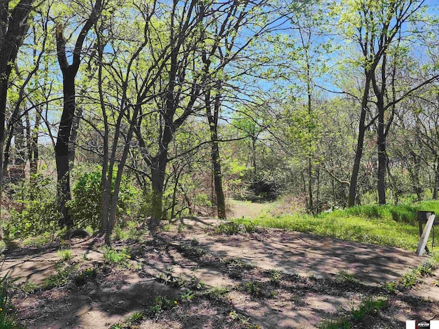 view of local wilderness featuring a forest view