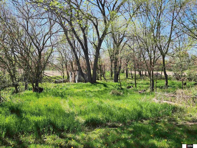 view of nature