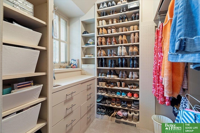 walk in closet with visible vents