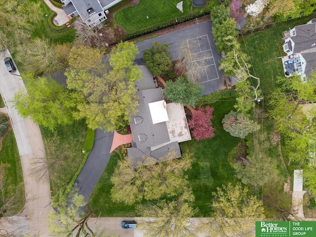 aerial view