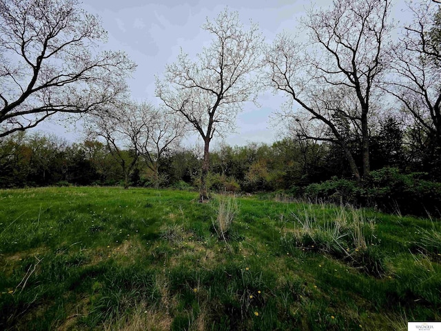 view of nature with a forest view