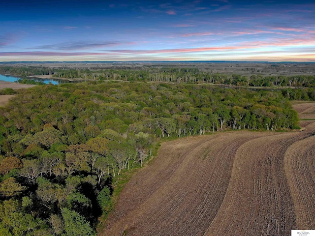 aerial view featuring a water view and a forest view