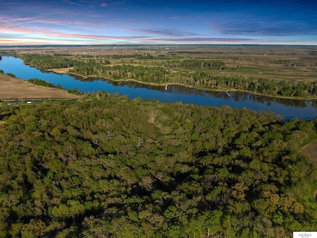 aerial view with a water view and a view of trees