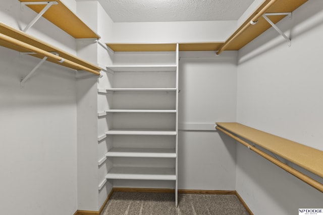 spacious closet with carpet