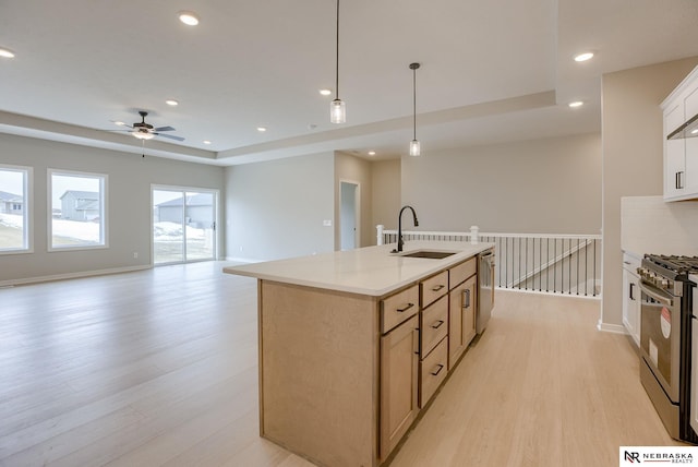 kitchen featuring a ceiling fan, appliances with stainless steel finishes, a sink, a tray ceiling, and light wood-style flooring