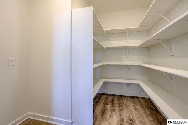 11057 N 173rd St, Bennington, NE 68007 - view of pantry