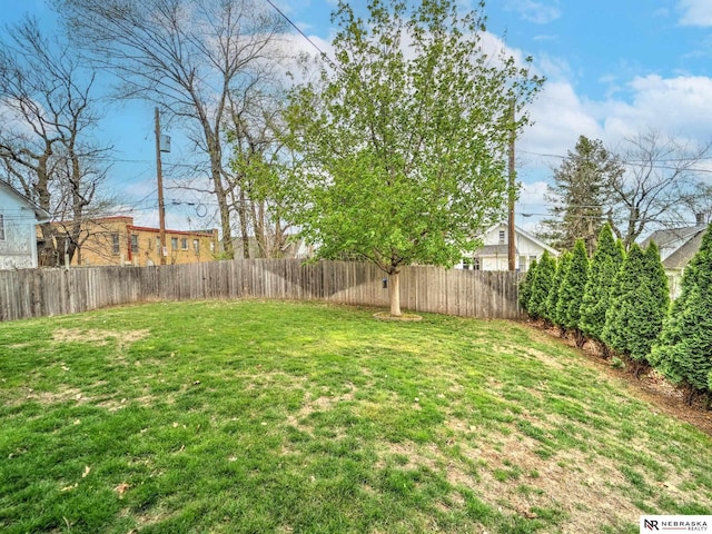 view of yard with a fenced backyard