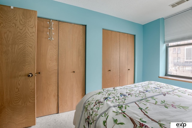 bedroom with two closets, visible vents, and carpet floors