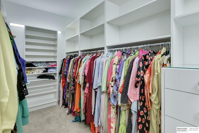 spacious closet with carpet floors