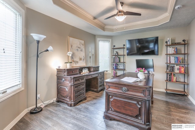 office space featuring ceiling fan, ornamental molding, a raised ceiling, and plenty of natural light