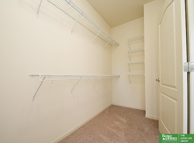 walk in closet featuring carpet flooring