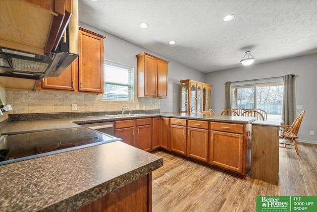 7714 S 167th St, Omaha, NE 68136 - kitchen with light wood-type flooring, brown cabinetry, a textured ceiling, and a peninsula