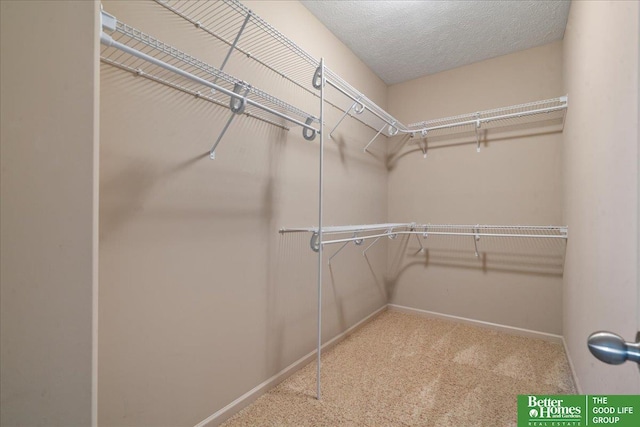 7714 S 167th St, Omaha, NE 68136 - walk in closet with carpet