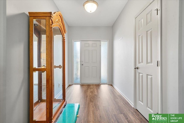 7714 S 167th St, Omaha, NE 68136 - entryway with baseboards, plenty of natural light, and wood finished floors