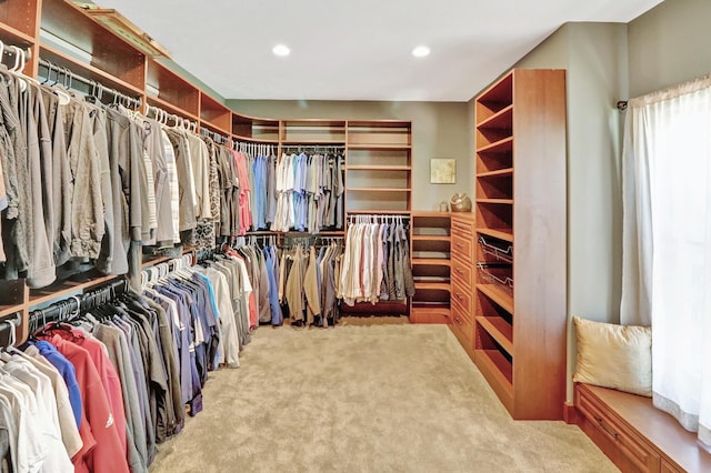 walk in closet featuring carpet