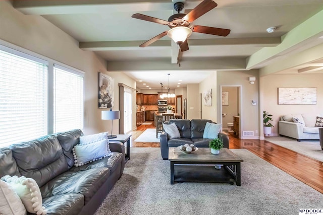 living room with beamed ceiling, ceiling fan with notable chandelier, light wood-style flooring, and visible vents