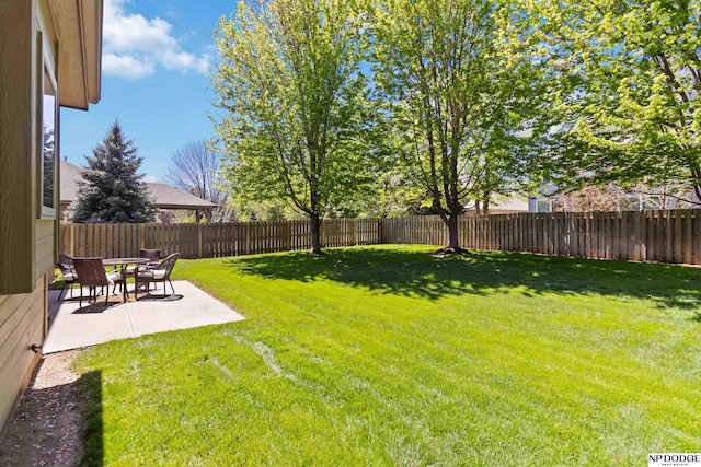 view of yard featuring a fenced backyard and a patio area