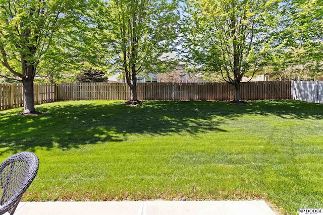 view of yard featuring a fenced backyard